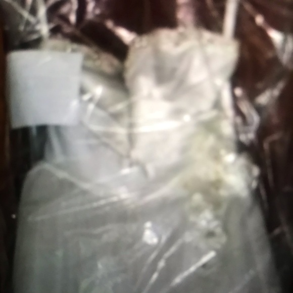 Alfred Angelo Disney Fairytale Belle 235 sz 14 - Picture 4 of 15